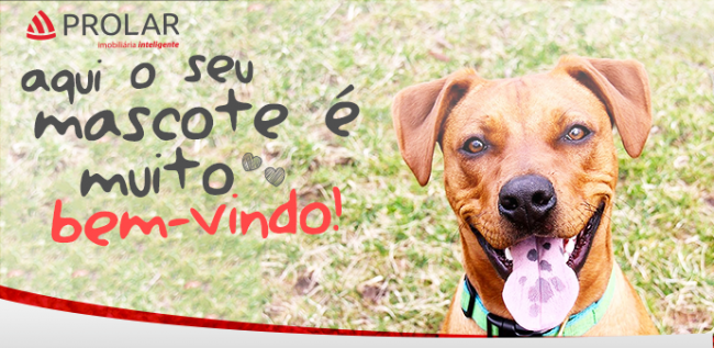 Na Prolar, os pets são bem-vindos