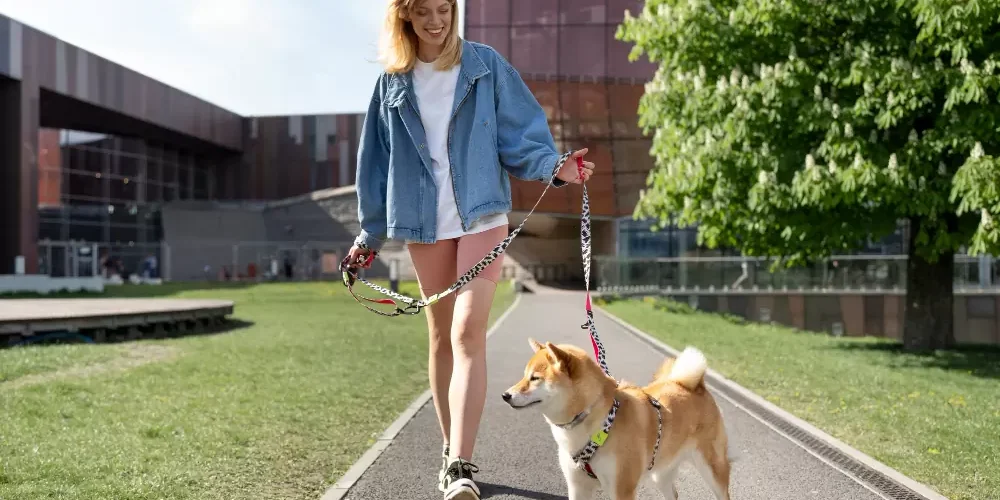 Conheça a lei que assegura o direito de ter um pet em seu apartamento!