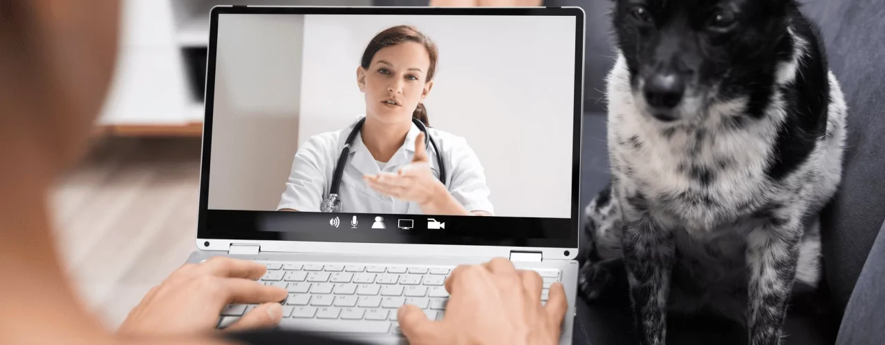 4 vantagens da telemedicina veterinária para pets e tutores